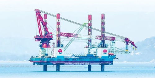 踔厲奮發新征程丨激發 藍色新動能